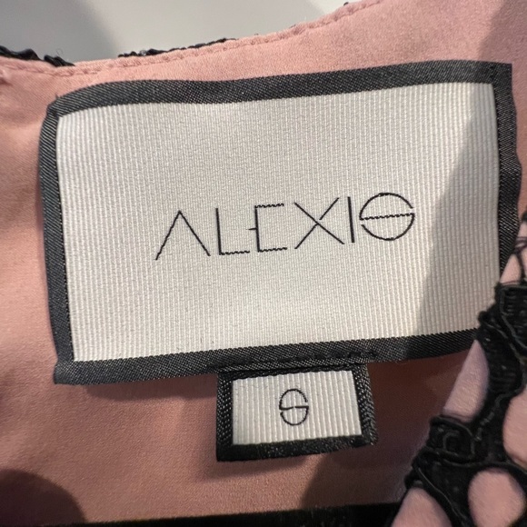 Alexis Narasse Lace Midi Racerback Dress. Pink Nude Lining. Size Small. - Picture 13 of 15